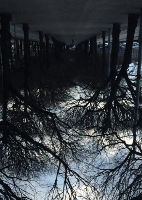 En upp och nedvänd bild av en allé kantad av träd mot molnig himmel. Längre bort skymtar parkerade bilar.