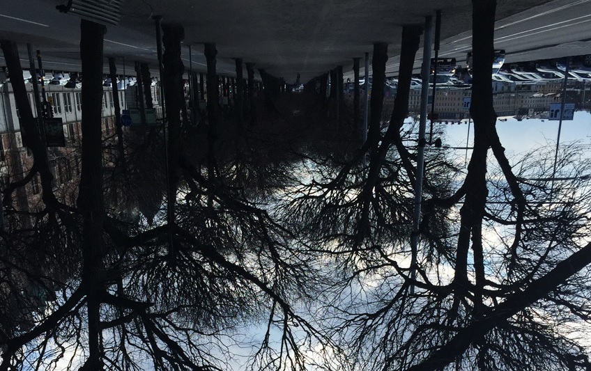 En upp och nedvänd bild av en allé kantad av träd mot molnig himmel. Längre bort skymtar parkerade bilar.