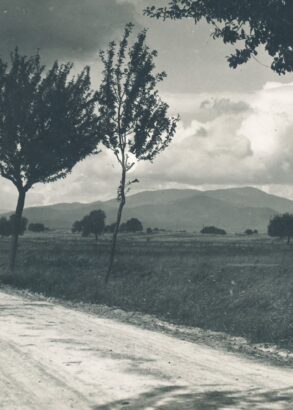 En landsväg kantad med träd och längre bort ser man höga berg. Svartvit arkivbild.