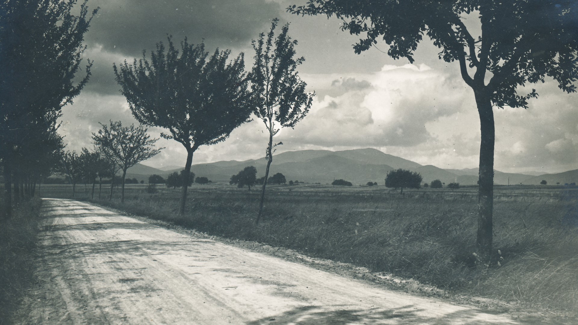 En landsväg kantad med träd och längre bort ser man höga berg. Svartvit arkivbild.