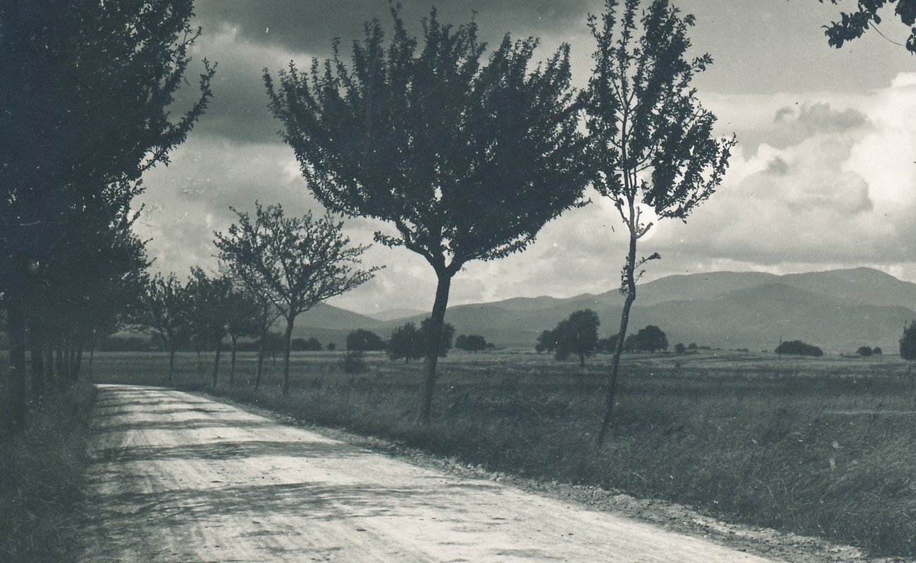 En landsväg kantad med träd och längre bort ser man höga berg. Svartvit arkivbild.