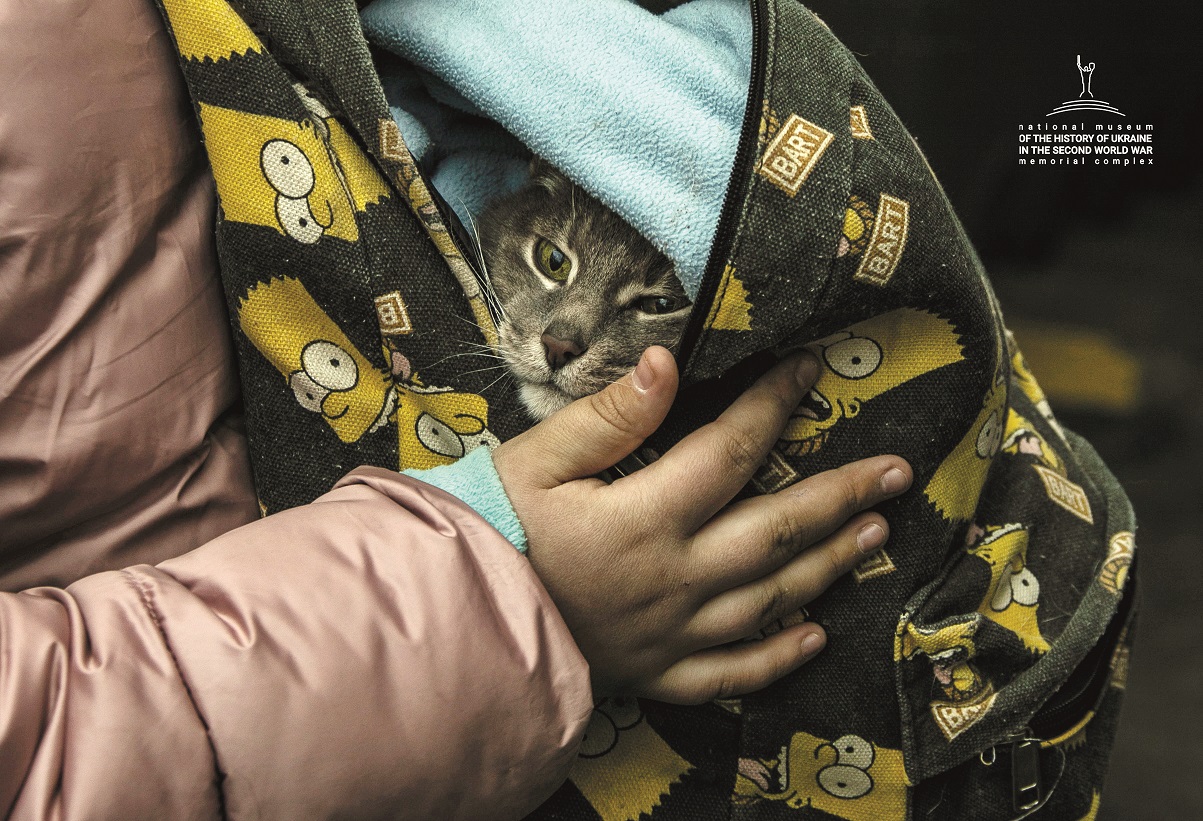 En person håller i en väska där en katt tittar upp ur öppningen.