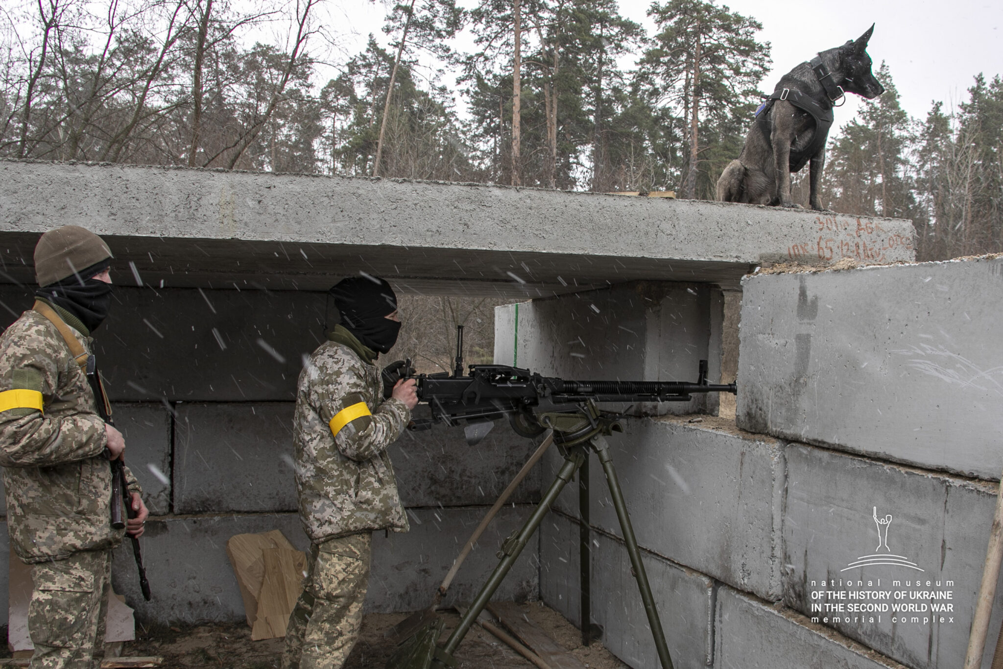 Två militärklädda personer med vapen står bakom en mur av betong och spanar. Uppepå taket över muren sitter en hund och spanar i samma riktning.